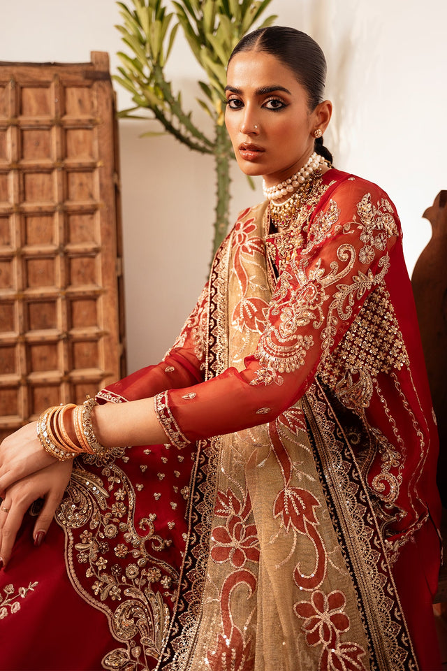 Irtiqa Ali