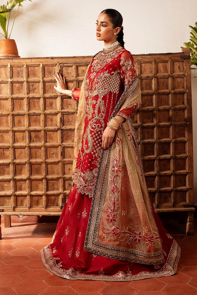 Irtiqa Ali