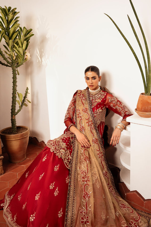 Irtiqa Ali